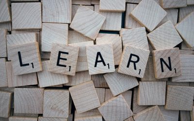 Why “I Know Enough” Is the Most Dangerous Thought in Commercial Insurance